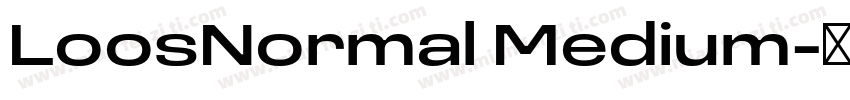LoosNormal Medium字体转换